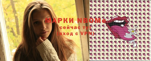 PSILOCYBIN Алзамай