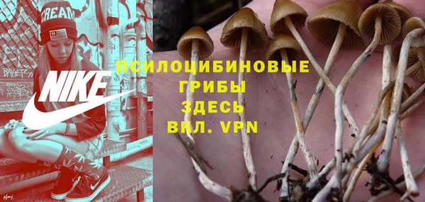 ГАЛЛЮЦИНОГЕННЫЕ ГРИБЫ Навашино
