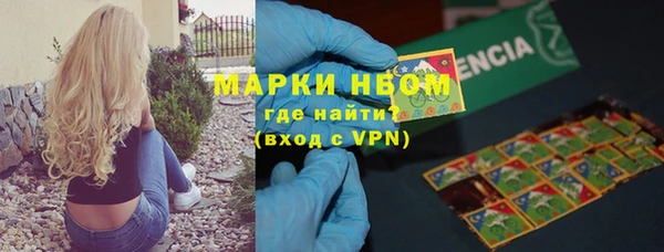 PSILOCYBIN Алзамай