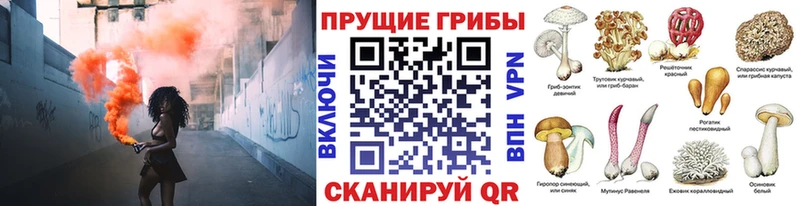 Галлюциногенные грибы MAGIC MUSHROOMS  Юрьев-Польский 
